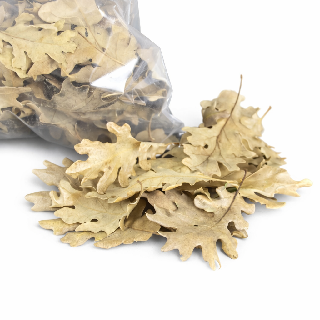 HOJAS DE ROBLE PARA TERRARIO BIOACTIVO – BOLSA 4 L - Imagen 2