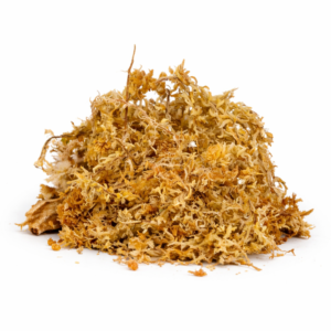 MUSGO SPHAGNUM 100g NUEVA ZELANDA