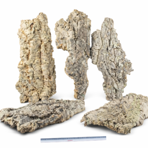 PANEL DE BORNIZO 50/70 x 20cm