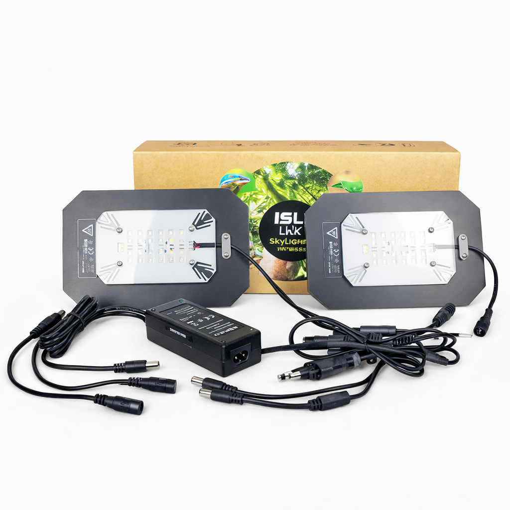 SKYLIGHT MID-30 INTENSE - Imagen 4