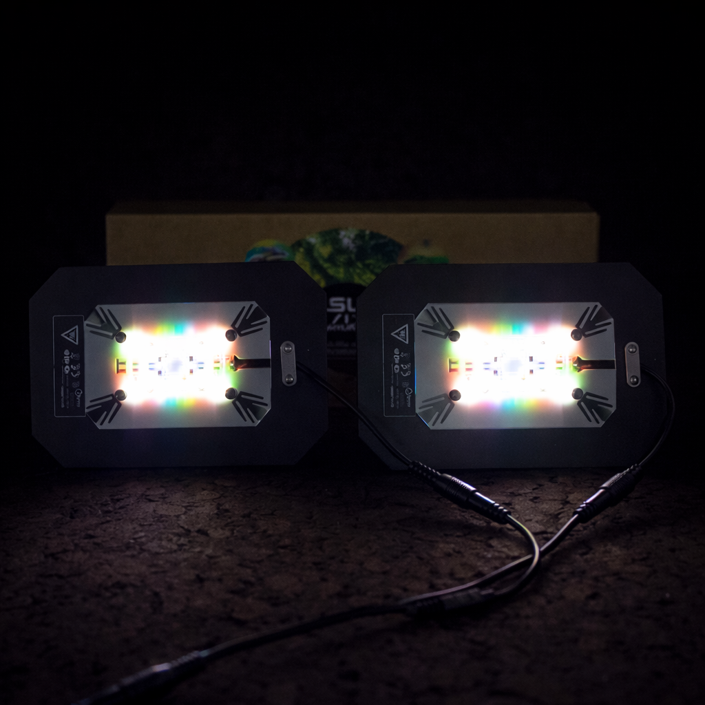 SKYLIGHT MID-30 INTENSE - Imagen 3