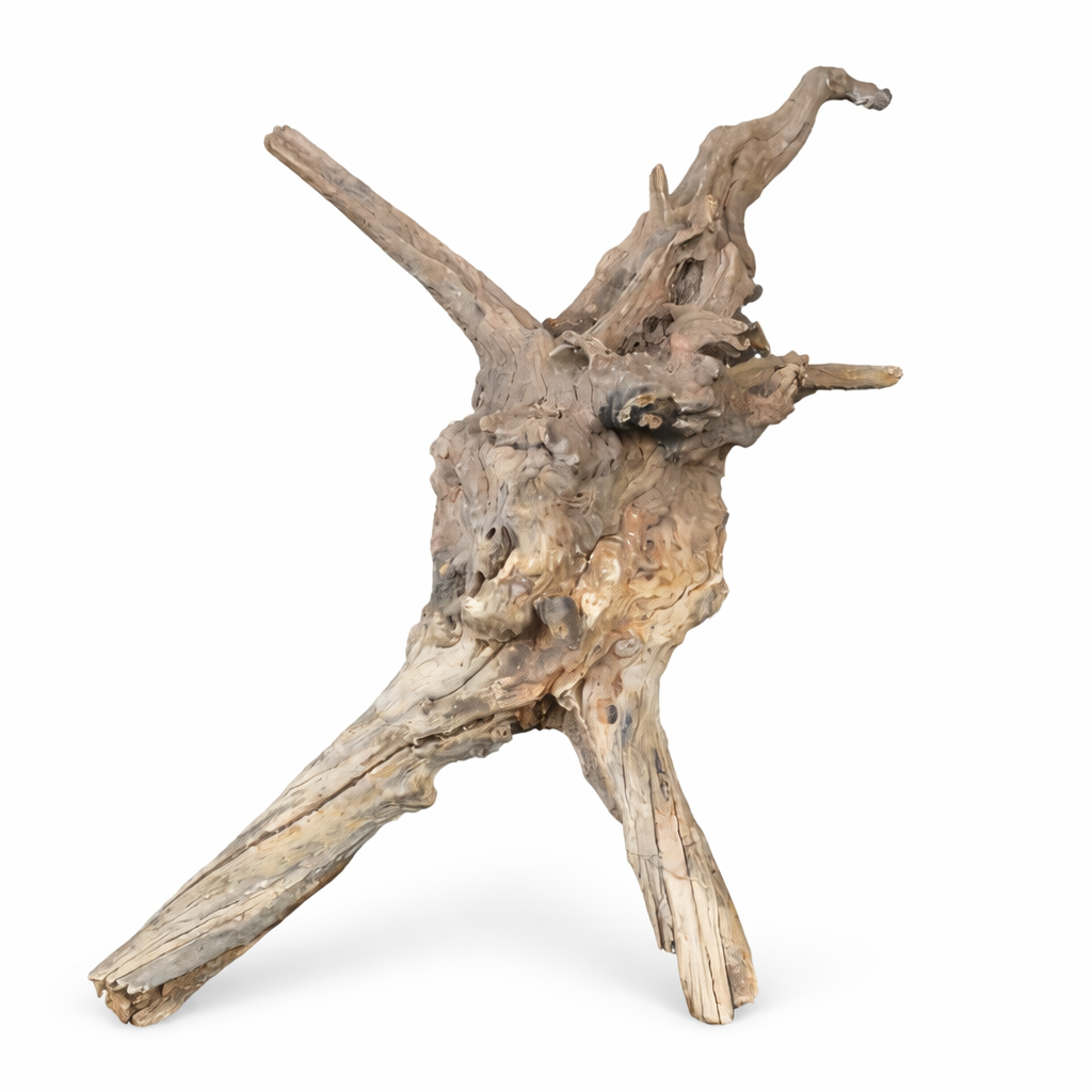 CORAL SINKER - Imagen 2