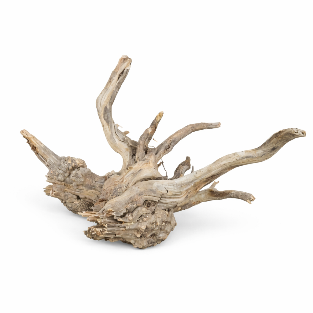 CORAL SINKER - Imagen 5