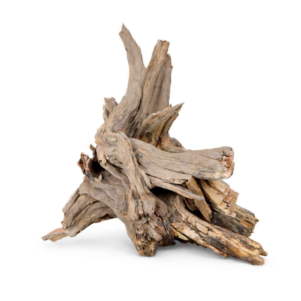 CORAL SINKER - Imagen 3