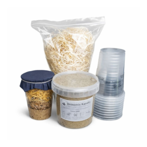 Pack autoconsumo Drosophila hydei