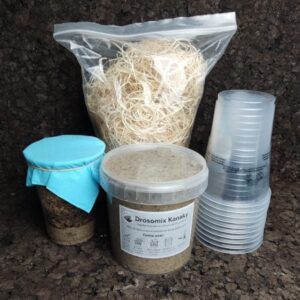 Pack autoconsumo Drosophila funebris