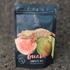 GECKO NUTRITION GUAYABA