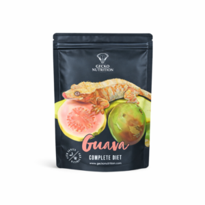 GECKO NUTRITION GUAYABA