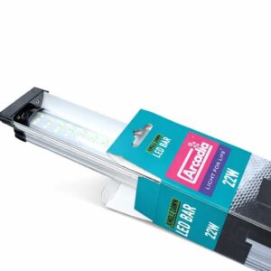 ARCADIA JUNGLE DAWN BARRA LED