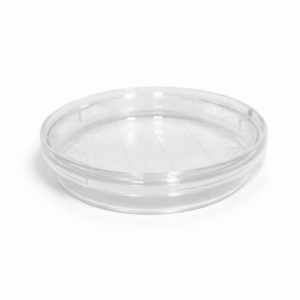 3x PLACA PETRI 60mm PARA CASETA DE PUESTAS