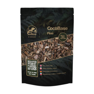 CHIPS DE COCO FINOS