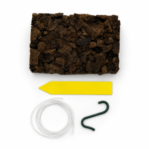 KIT DE MONTAJE PARA PLANTAS EPIFITAS